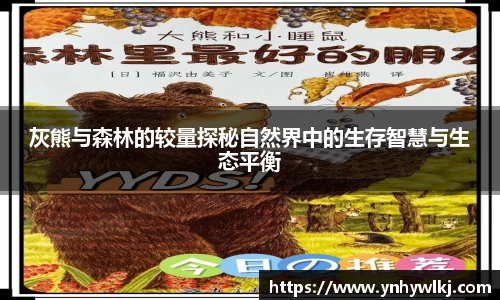 灰熊与森林的较量探秘自然界中的生存智慧与生态平衡